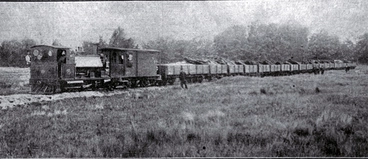 Image: When a railway ran through Hagley Park
