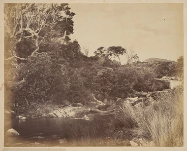 Image: Mercury Bay. Cook's Watering Place, where he landed and found fresh water, and first unfurled the British Colours and claimed New Zealand.