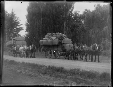 Image: Horse drawn wagons carrying bales of wool pulled by Clydesdale horses, Hawke's Bay District