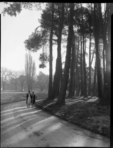 Image: Two unidentified women walking beside the Avon River under pine trees in the Botanical Gardens, Christchurch