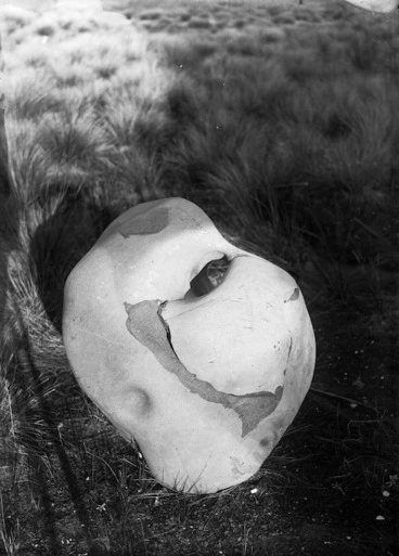 Image: Anchor stone from the waka Matahorua