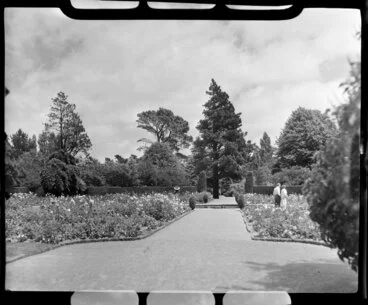 Image: Unidentified couple in the Botanic Gardens, Christchurch