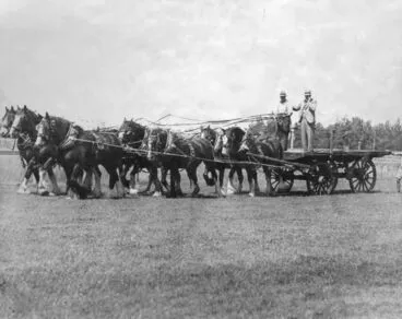 Image: Roy Craig's Team of Clydesdales