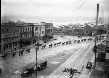 Image: Procession of Clydesdale horses on Cambridge Terrace, Wellington, [ca 1920s]