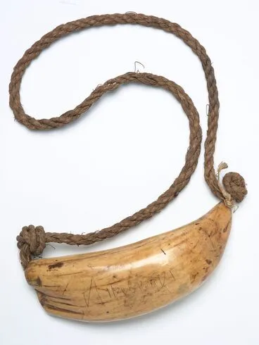 Image: Tabua (Ceremonial whale tooth)
