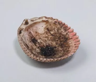 Image: Tattooing Pigment in shell