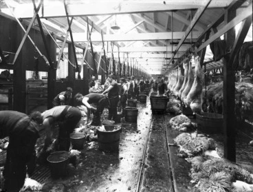 Image: Processing sheep carcasses, Christchurch Meat Company