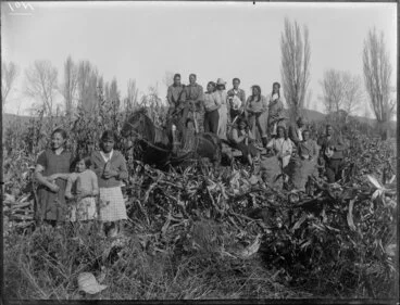 Image: Maori family group with a maize crop