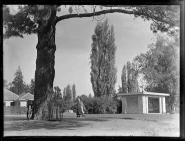 Image: Botanic Gardens, Christchurch, including H F Herbert Memorial Playground Shelter