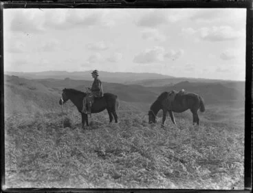 Image: Horse and rider with spare horse, Tokoroa