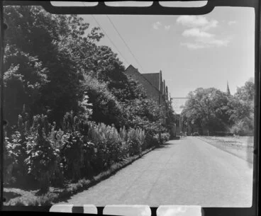 Image: A view of Christs College from the Botanic Gardens, Christchurch