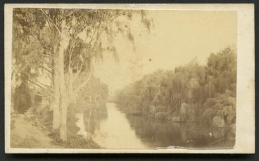 Image: Ferrier, William (Christchurch) fl 1881-1900 :Photograph of Botanical gardens, Christchurch