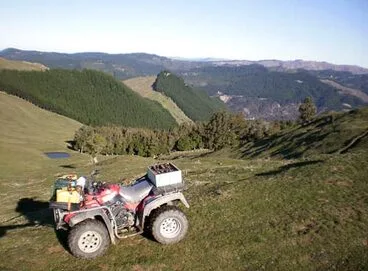 Image: Farm forestry