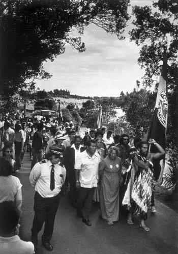 Image: Waitangi protest