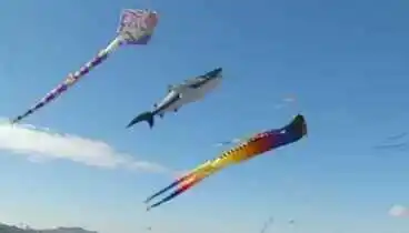 Image: Dolphin, dragon, and diamond kites float across Auckland sky for Matariki Festival