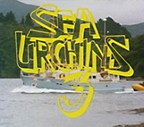 Image: Sea Urchins