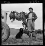 Unidentified hunter with dead ducks and geese, gun, and water dog, at the opening of the duck shooting season