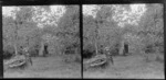 Two boys in an orchard, Brunswick, Wanganui Region