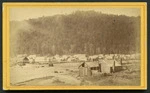 View of houses in Reefton