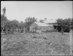 Unidentified children sitting on lawn, in front of glass house, house and orchard trees, probably Christchurch district