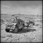 NZ Artillery 'tough bus' towing limber and gun over rough ground in the Western Desert
