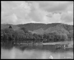 Waka with vice-regal party on board, Waikato River, Ngaruawhaia