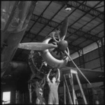Wellington bomber in Egypt during World War II