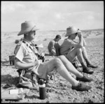 Senior officers of regiment watching results of shoot from observation post, Egypt