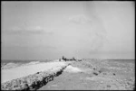 NZ engineers constructing road in the Western Desert