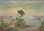 [Martin, Albin] 1813-1888 :[Bay of Islands, 1869?]