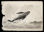 Ryan, Thomas, 1864-1927 :"E piki ana ki runga"; a whale breaching off Whangamumu. "Whale breaching". July 3. 95.