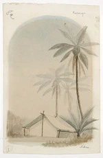 [Doubleday, William or John], fl 1880s :Kaponga fern, Jan 1885; Nikau.