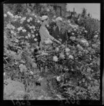 Mrs F J Guinan and Lady Barrowclough in rose garden, location unknown