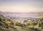 Barraud, Charles Decimus, 1822-1897 :Wellington Harbour 1875. C. D. Barraud del, W. D. Blatchley lith., C. F. Kell, lithographer Castle St, Holborn, London [1877]
