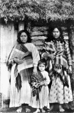 Paranihia Heta, Ngaria Riwai and Pakura Teretiu at Manukau, Chatham Island