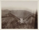 Wandering albatross, Antipodes Islands