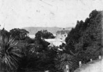 View, through trees, of The Grange, Wadestown Road, Wellington