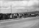 Hutt Recreation Reserve, Lower Hutt