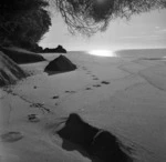 Sandfly Bay, Abel Tasman National Park