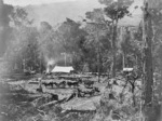 Timber industry workers camp in the forest