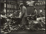 Inspection of deer skins before shipment, Lyttelton, Canterbury - Photograph taken by Green and Hahn
