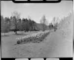 Queen's Park Gardens, Invercargill