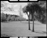 Otepuni Gardens, Invercargill