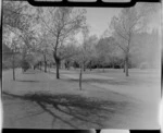 Queen's Park Gardens, Invercargill