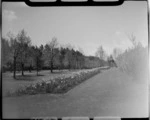 Queen's Park Gardens, Invercargill