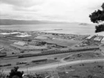 Overlooking Petone