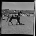 Unidentified horse and jockey, Trentham Racecourse, Upper Hutt, Wellington