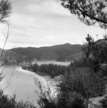 Overlooking Torrent Bay