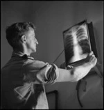 Alfred Robert Anderson examines an x-ray plate at 3 NZ General Hospital, Beirut, Lebanon