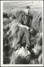 Alistair Duthie skinning a sheep, Campbell Island